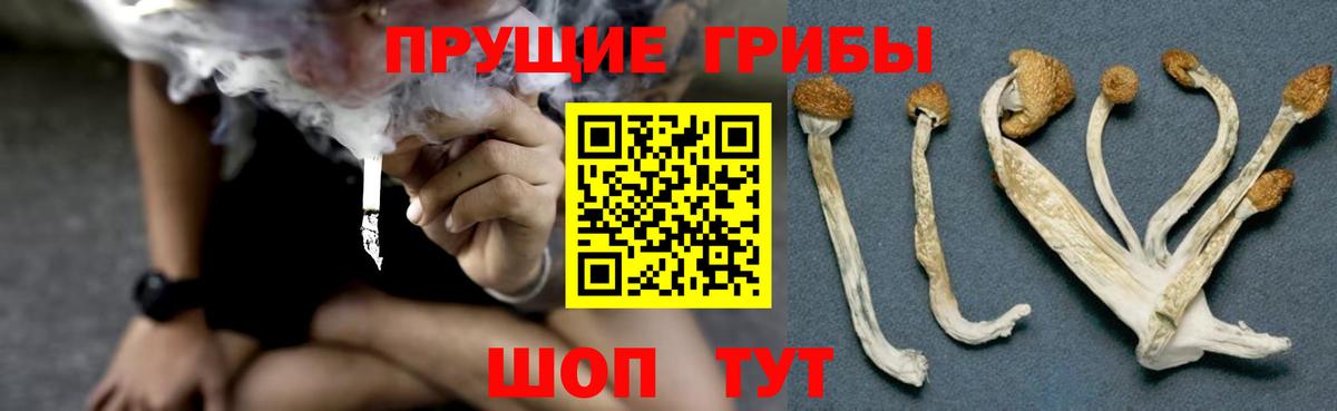 Галлюциногенные грибы GOLDEN TEACHER  Вход с VPN  Горячий Ключ 